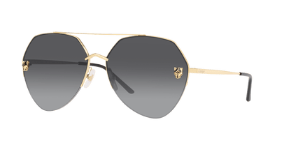 Cartier Sunglasses Gold-Grey | CARTIER CT0355S Gold-Grey