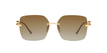 Cartier sunglasses in gold-brown color | CARTIER CT0359S Gold-Brown