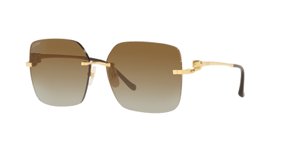 Cartier sunglasses in gold-brown color | CARTIER CT0359S Gold-Brown