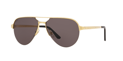 Cartier Sunglasses Gold-Grey | CARTIER CT0386S Gold-Grey