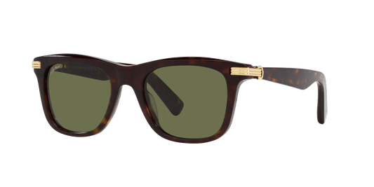 משקפי שמש קרטייה צב-ירוק | CARTIER CT0396S Tortoise-Green