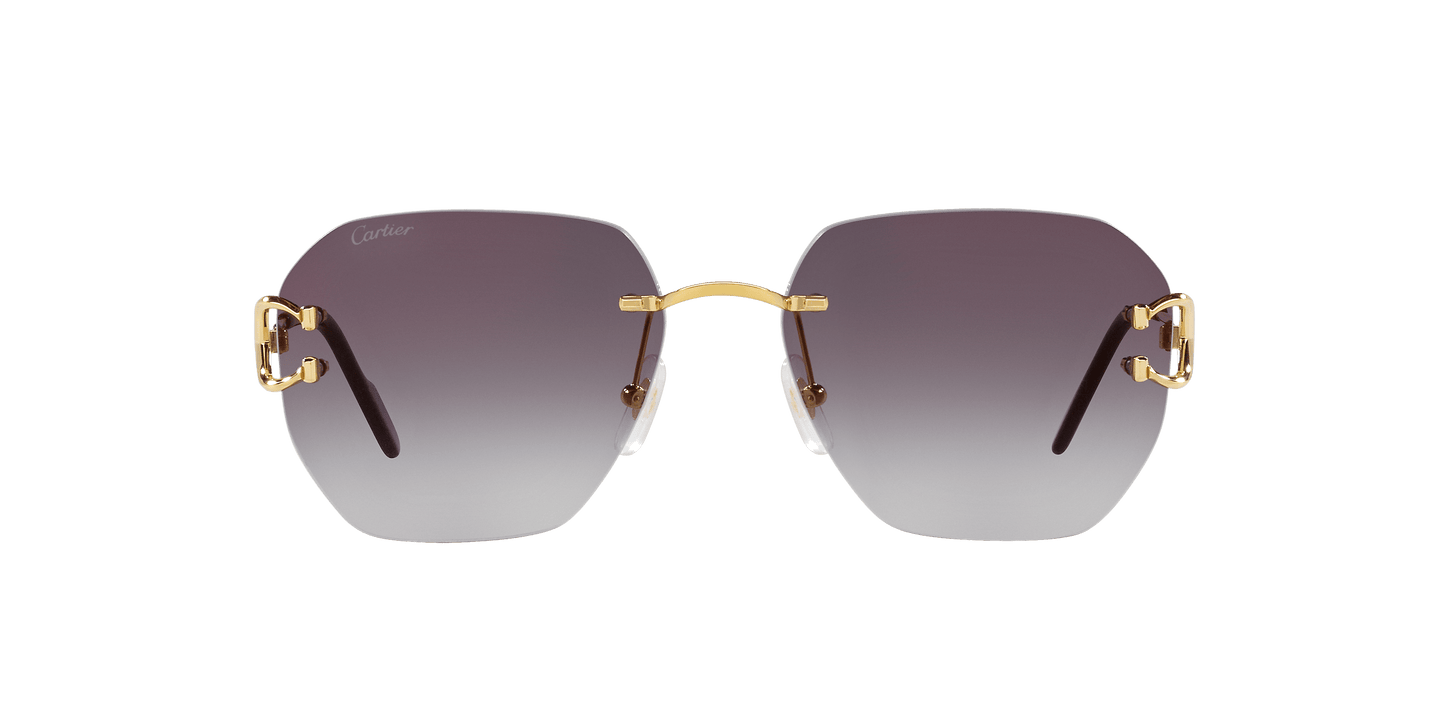 Cartier Sunglasses Gold-Grey | CARTIER CT0394S Gold-Grey