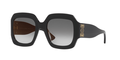 Cartier Sunglasses Black-Grey | CARTIER CT0434S Black-Grey