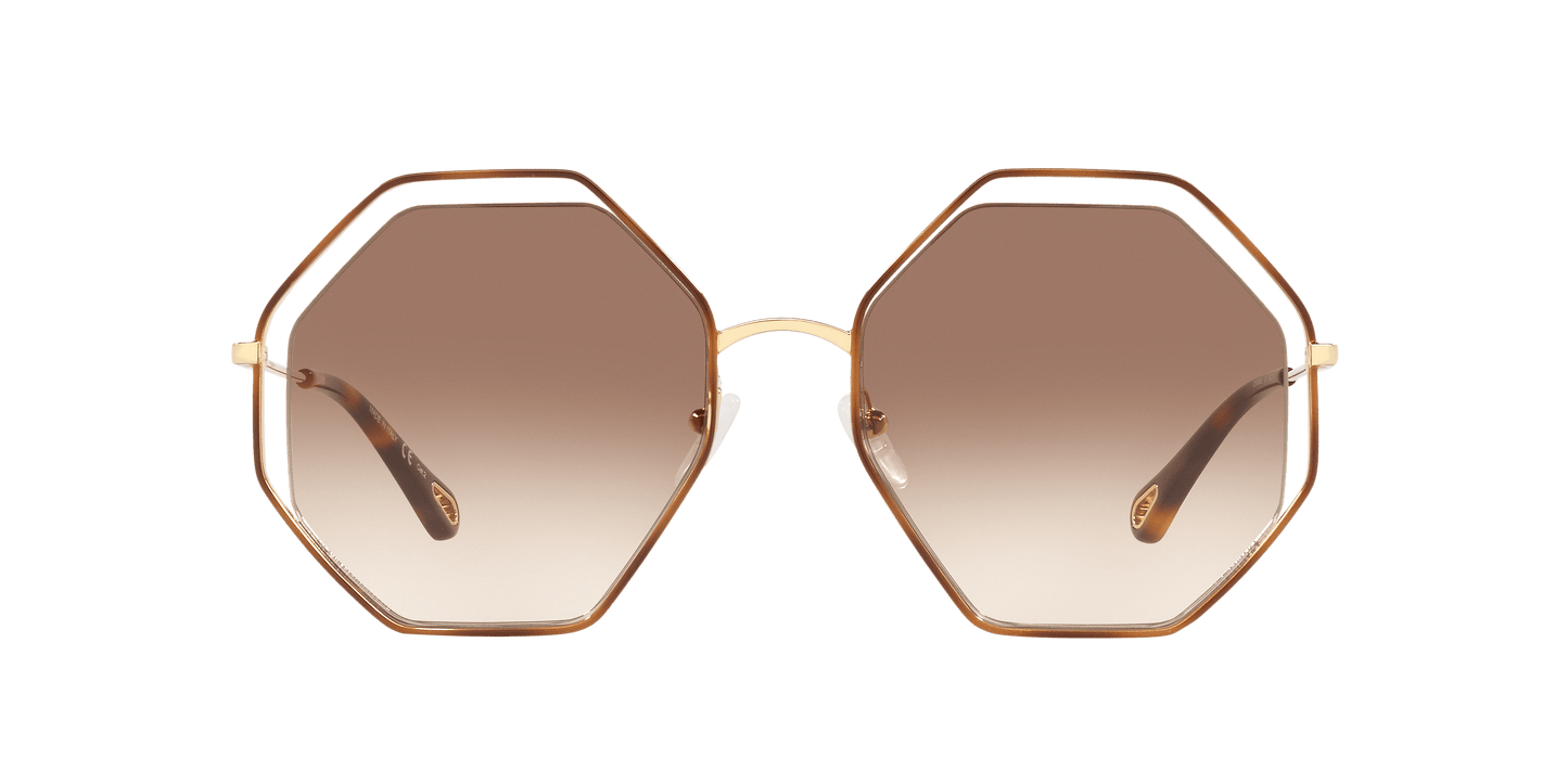 Chloé Sunglasses Tortoise-Brown Gradient | Chloé CH0046S Tortoise-Brown Gradient