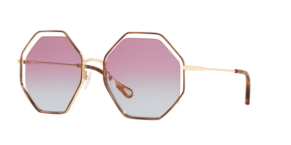 משקפי שמש קלואי צב-סגול שיפוע | Chloé CH0046S Tortoise-Purple Gradient