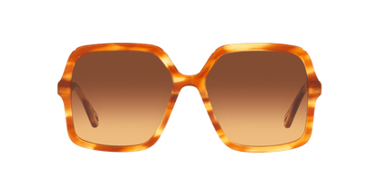 משקפי שמש קלואי חומים | Chloé CH0086S Brown