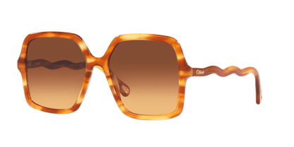 משקפי שמש קלואי חומים | Chloé CH0086S Brown