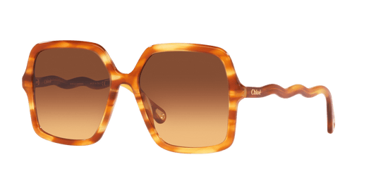 משקפי שמש קלואי חומים | Chloé CH0086S Brown