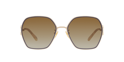 משקפי שמש של קלואי שחור-חום | Chloé CH0146S Black-Brown