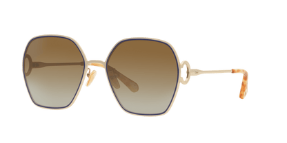 משקפי שמש של קלואי שחור-חום | Chloé CH0146S Black-Brown