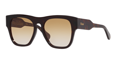 משקפי שמש קלואי צב-חום | Chloé CH0149S Tortoise-Brown