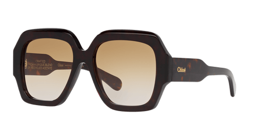 משקפי שמש קלואי צב-חום | Chloé CH0154S Tortoise-Brown