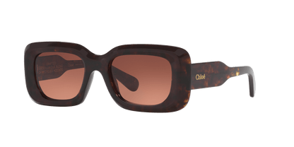 משקפי שמש קלואי צב-נחושת | Chloé CH0188S Tortoise-Copper