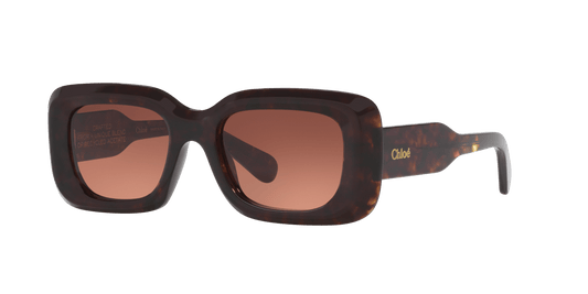 משקפי שמש קלואי צב-נחושת | Chloé CH0188S Tortoise-Copper