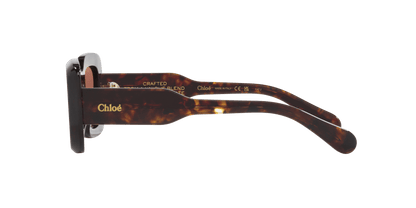 משקפי שמש קלואי צב-נחושת | Chloé CH0188S Tortoise-Copper