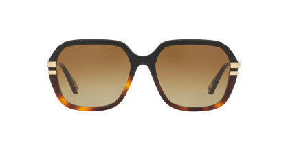 משקפי שמש של קלואי שחור-חום | Chloé CH0204S Black-Brown
