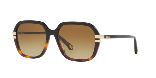 משקפי שמש של קלואי שחור-חום | Chloé CH0204S Black-Brown
