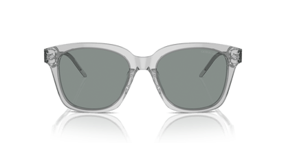 משקפי שמש ג'ורג'יו ארמני שקופים אפור-כחול | GIORGIO ARMANI AR8210U Transparent Grey-Blue