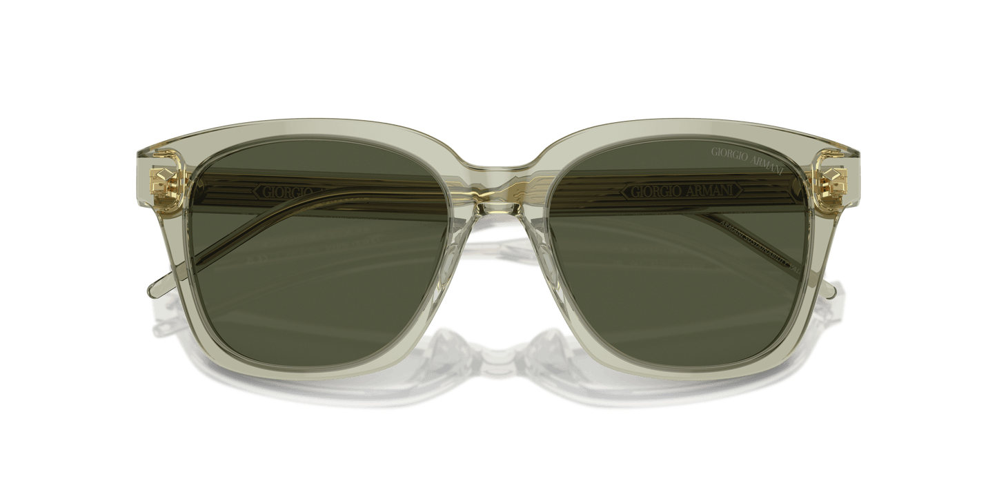 משקפי שמש של ג'ורג'יו ארמני ירוק שקוף-ירוק | GIORGIO ARMANI AR8210U Transparent Green-Green