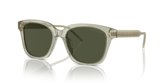 משקפי שמש של ג'ורג'יו ארמני ירוק שקוף-ירוק | GIORGIO ARMANI AR8210U Transparent Green-Green