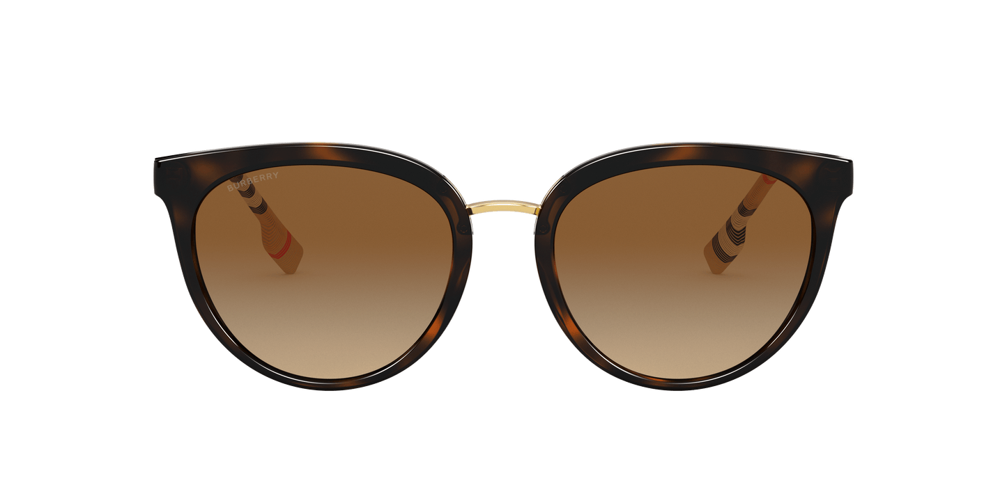 משקפי שמש בורברי כהה מקוטב חום בצבע הוואנה | BURBERRY BE4316 Willow Dark Havana-Polarized Brown Gradient