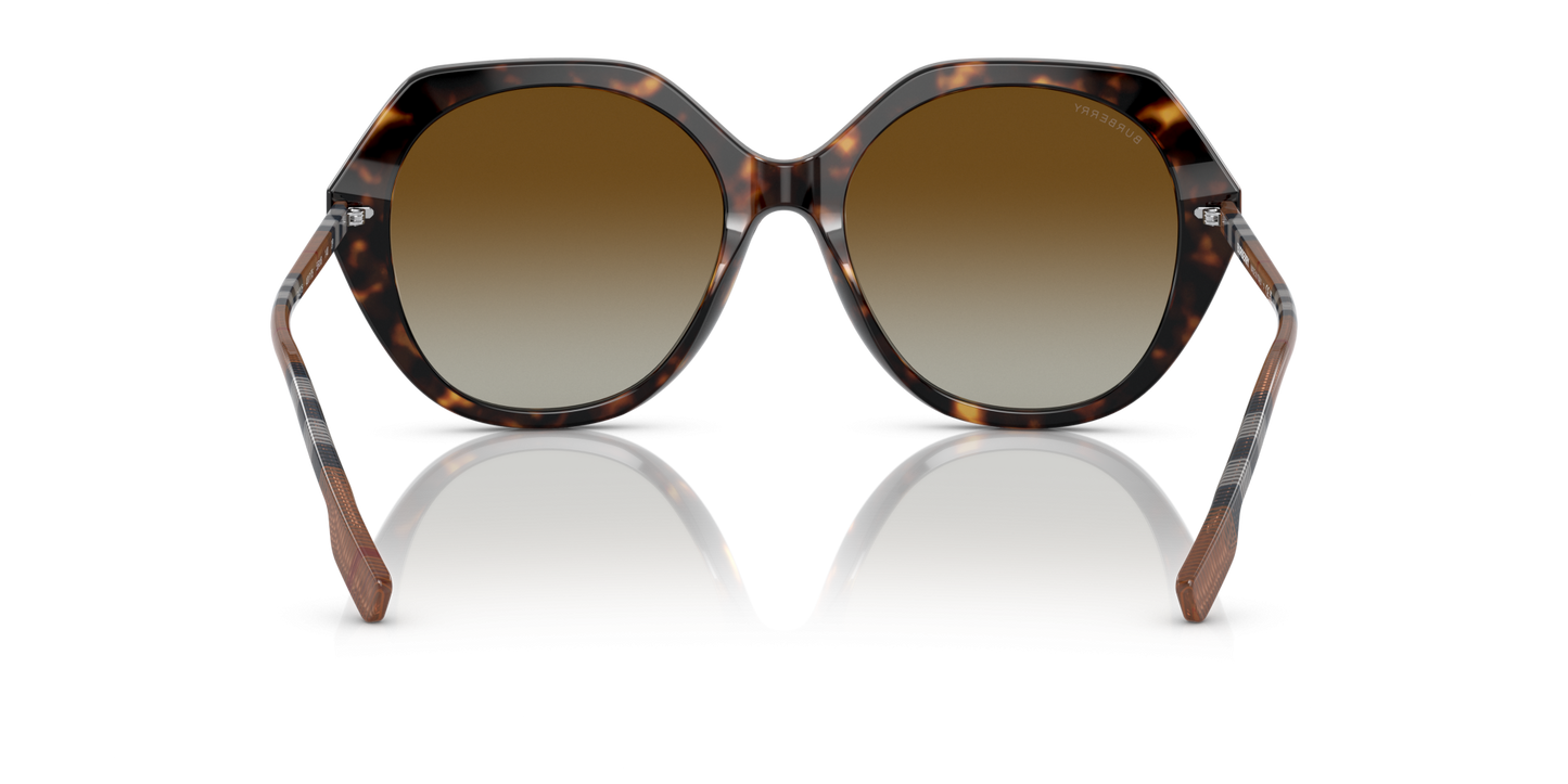 משקפי שמש בורברי כהה הוואנה-חום קוטב | BURBERRY BE4375 Vanessa Dark Havana-Brown Polar