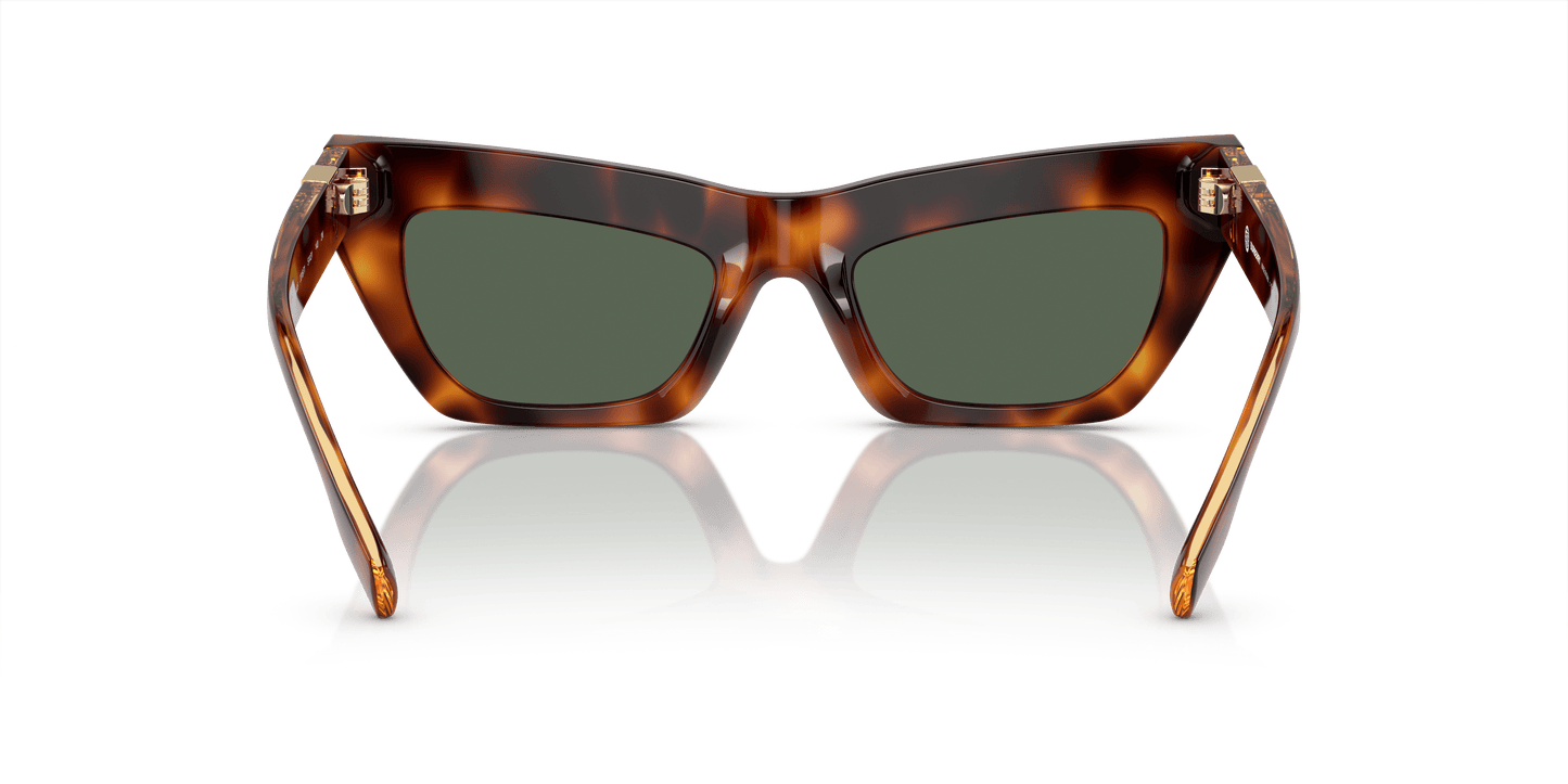 משקפי שמש של ברברי הוואנה בהירה-ירוק כהה | BURBERRY BE4405 Light Havana-Dark Green