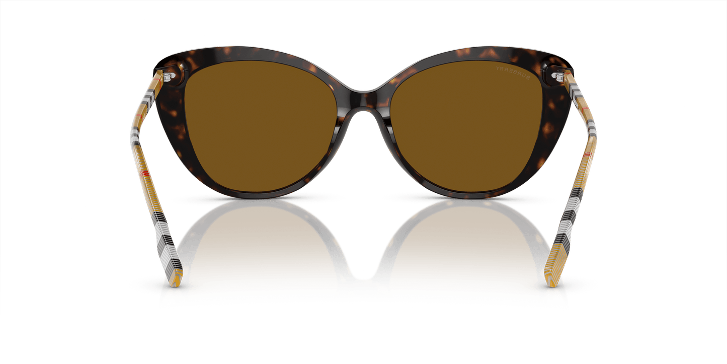 משקפי שמש של ברברי הוואנה כהה-קוטב חום | BURBERRY BE4407 Dark Havana-Brown Polar