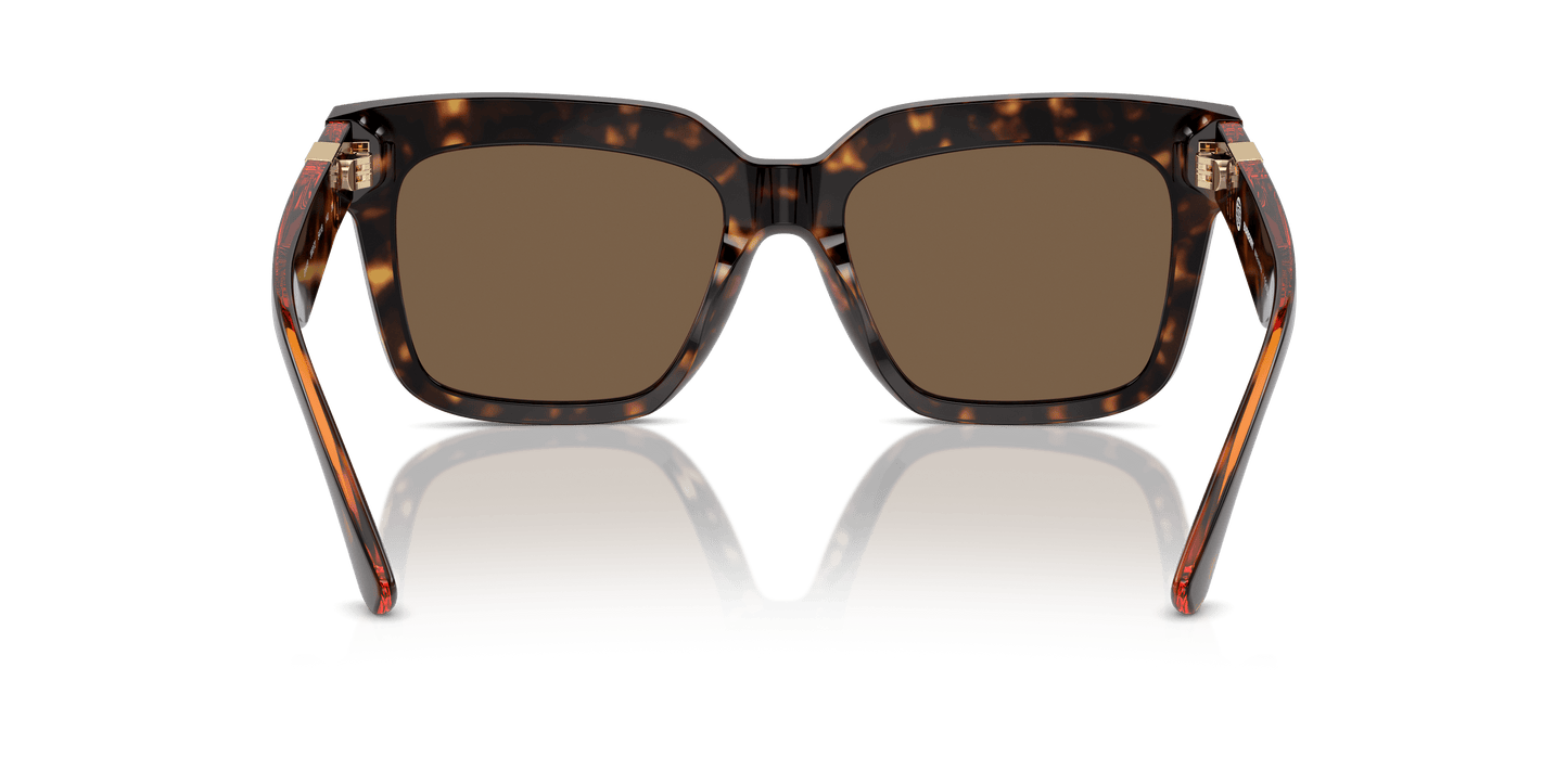 משקפי שמש של ברברי הוואנה כהה-חום כהה | BURBERRY BE4419 Dark Havana-Dark Brown