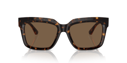 משקפי שמש של ברברי הוואנה כהה-חום כהה | BURBERRY BE4419 Dark Havana-Dark Brown