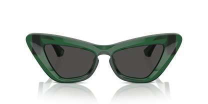 Burberry Sunglasses Green-Dark Grey | BURBERRY BE4421U Green-Dark Grey
