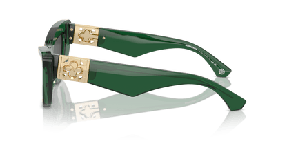 Burberry Sunglasses Green-Dark Grey | BURBERRY BE4421U Green-Dark Grey
