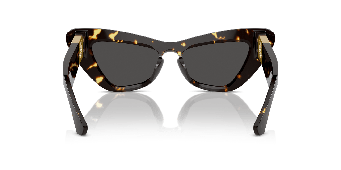 משקפי שמש של ברברי, האוואנה כהה-אפור כהה | BURBERRY BE4421U Dark Havana-Dark Grey