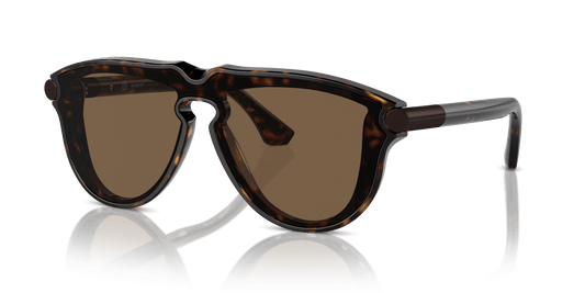 משקפי שמש של ברברי הוואנה כהה-חום | BURBERRY BE4427 Dark Havana-Brown