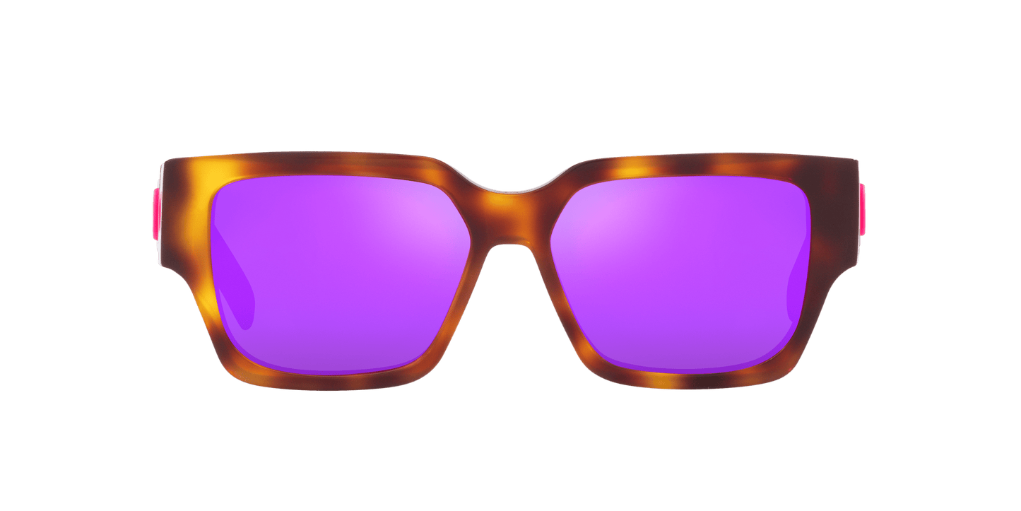 משקפי שמש של דיור צב-סגול | Dior CD SU Tortoise-Purple