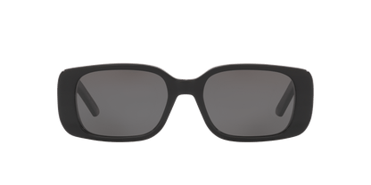 Dior WilDior S2U Black-Smoke Sunglasses