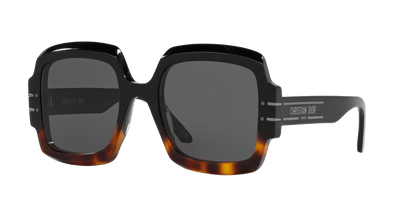Dior DiorSignature S1U Shiny Black-Smoke Sunglasses | Dior DiorSignature S1U Shiny Black-Smoke