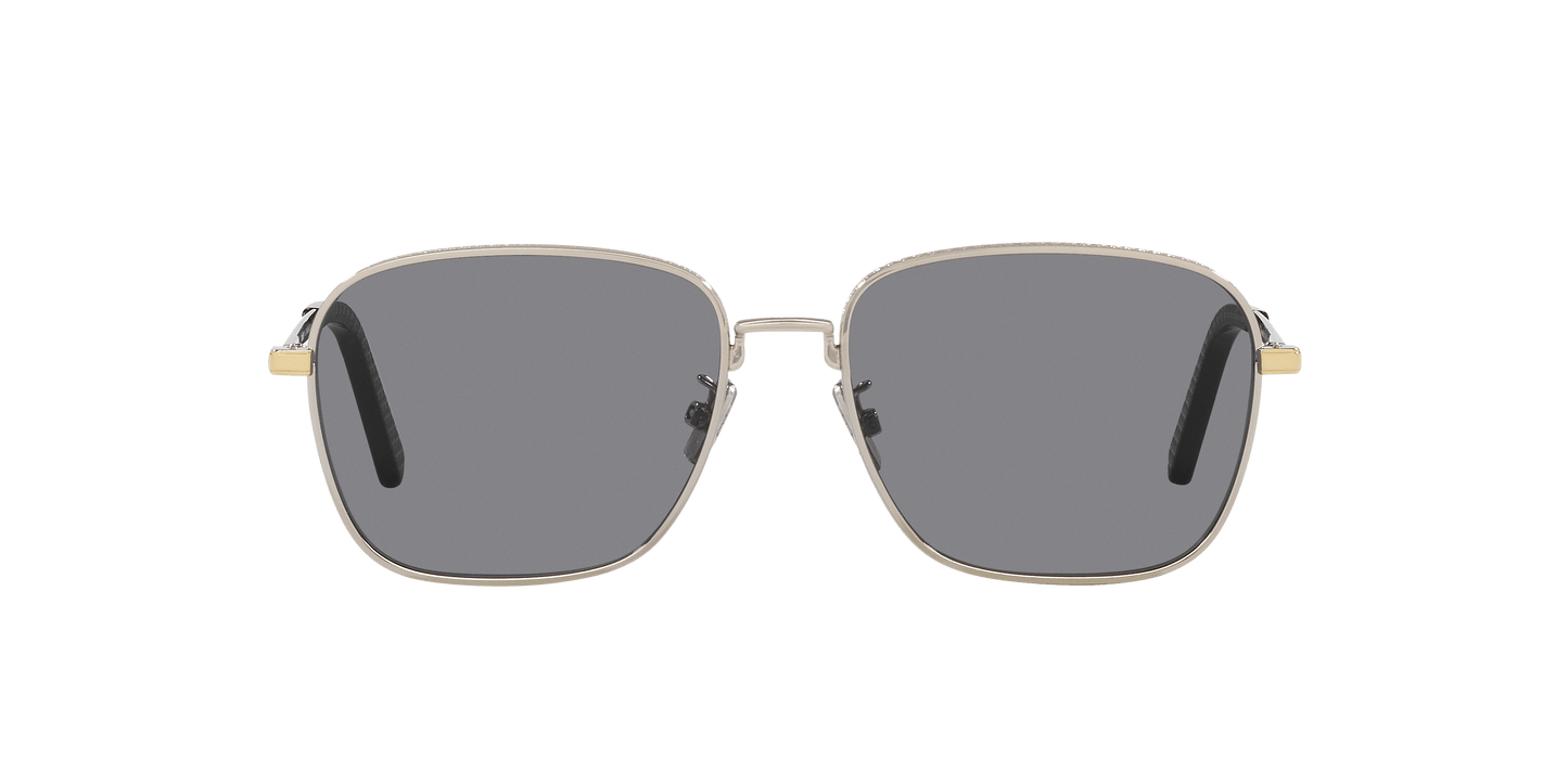 משקפי שמש של דיור כסף-סמוק | Dior CD Diamond S4U Silver-Smoke