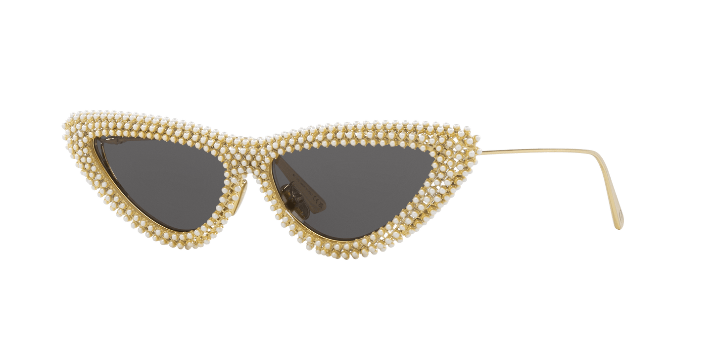 Dior Gold-Grey Sunglasses | Dior CD40118U Gold-Grey