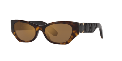 משקפי שמש של דיור צב-חום | Dior Lady 95.22 B1I Cd40147I Tortoise-Brown