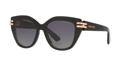 Dior Black-Grey Sunglasses | Dior CD40175I Black-Grey