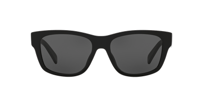 Celine Sunglasses Black Shiny-Blue | CELINE CL40249U Black Shiny-Blue