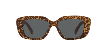 Celine Tortoise-Grey Sunglasses | CELINE Triomphe CL40216U Tortoise-Grey