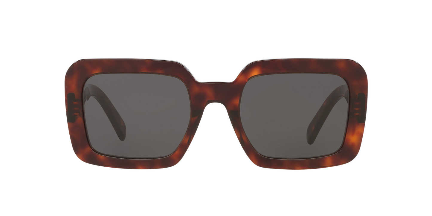 סלין משקפי שמש צב-אפור | CELINE CL40304U Tortoise-Grey
