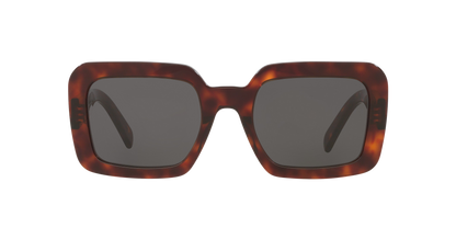 סלין משקפי שמש צב-אפור | CELINE CL40304U Tortoise-Grey