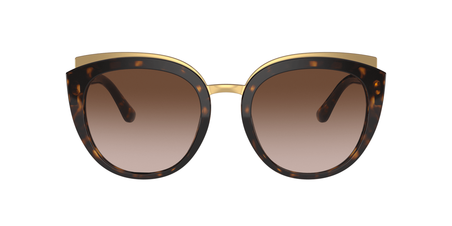 Dolce &amp; Gabbana Sunglasses Havana Brown Gradient Dark Brown | Dolce&amp;Gabbana DG4383 Havana-Brown Gradient Dark Brown