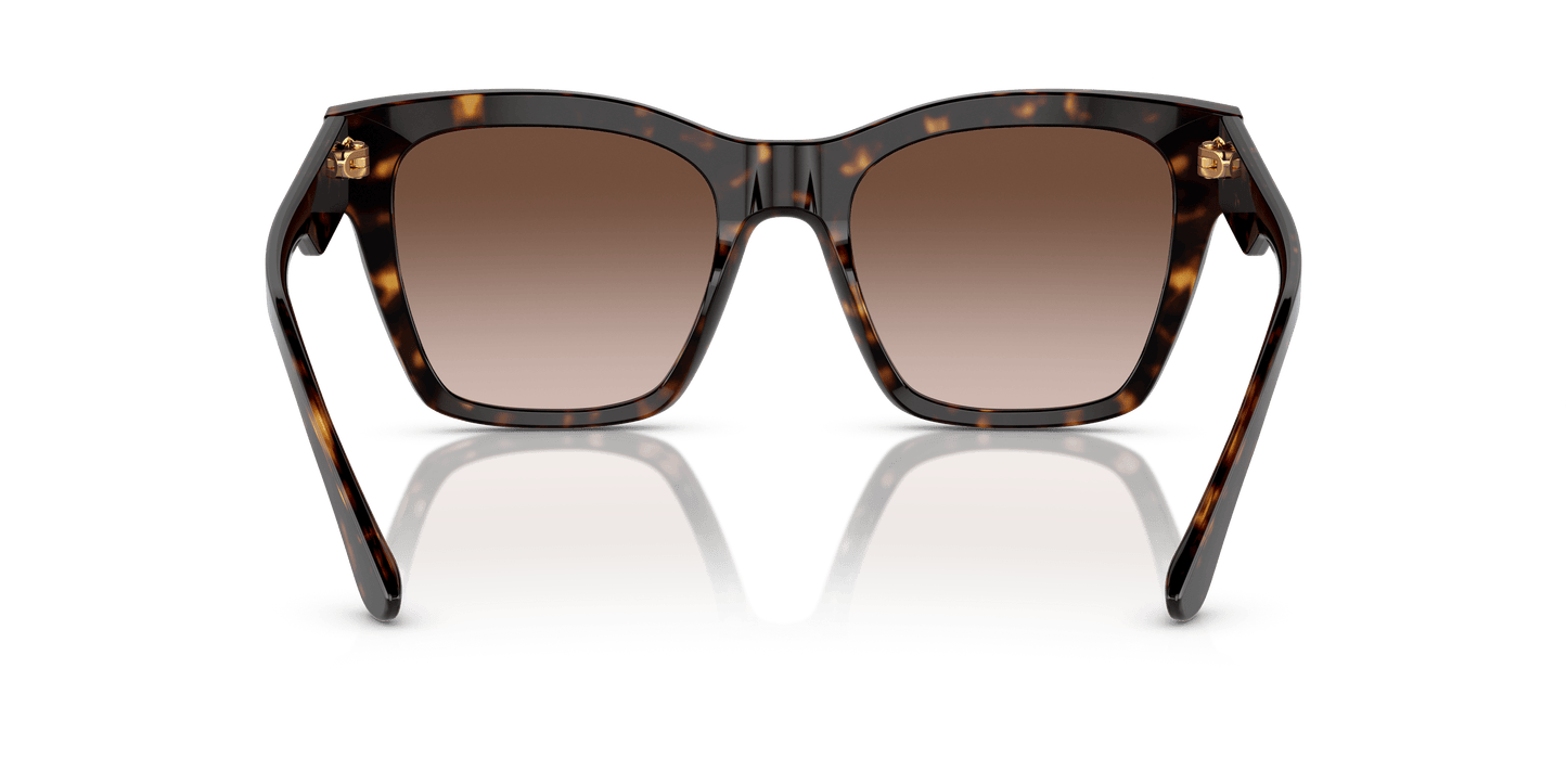 Dolce &amp; Gabbana Sunglasses Havana Brown | Dolce&amp;Gabbana DG4384 Havana-Gradient Brown