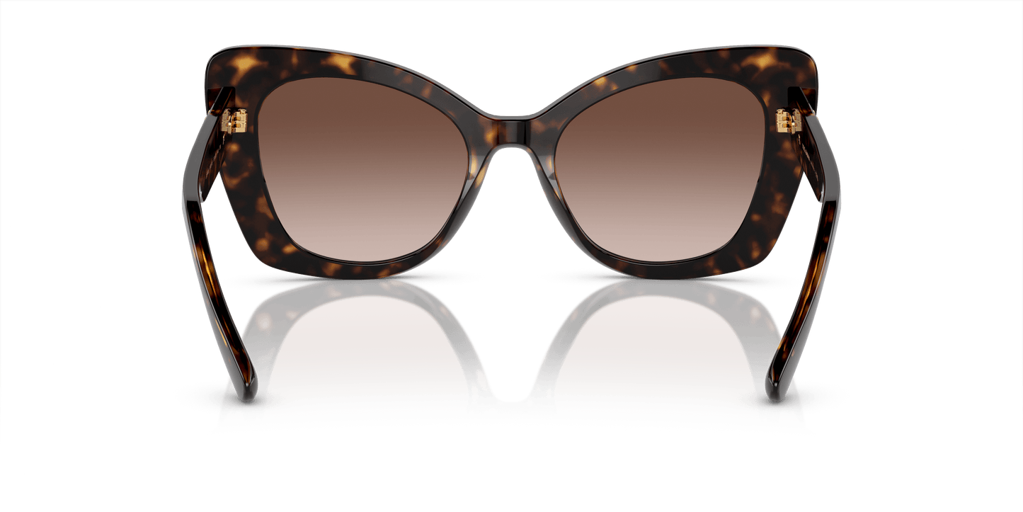 משקפי שמש דולצ'ה וגבאנה בצבע חום בהוואנה | Dolce&Gabbana DG4405 Havana-Gradient Brown