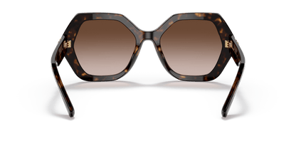 Dolce &amp; Gabbana Sunglasses Havana Brown | Dolce&amp;Gabbana DG4406 Havana-Gradient Brown