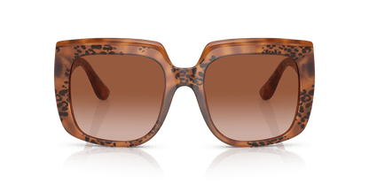 משקפי שמש דולצ'ה וגבאנה בצבע חום-הוואנה | Dolce&Gabbana DG4414 Havana-Brown Gradient